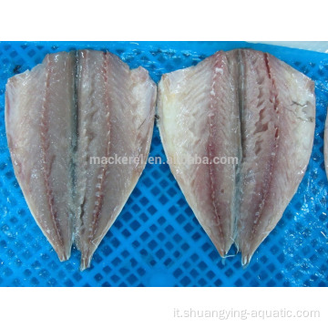 Flap di pesce mackerel cinese IQF Frozen